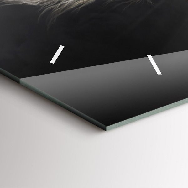 Vízszintes üvegóra Vágtató ló