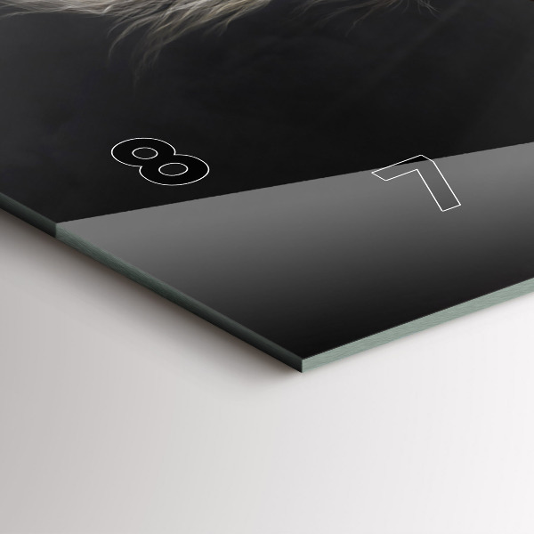 Vízszintes üvegóra Vágtató ló