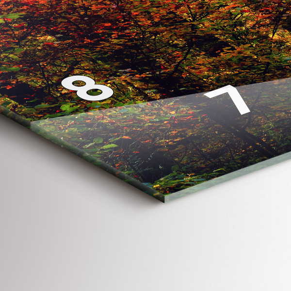 Vízszintes üvegóra Őszi erdei táj