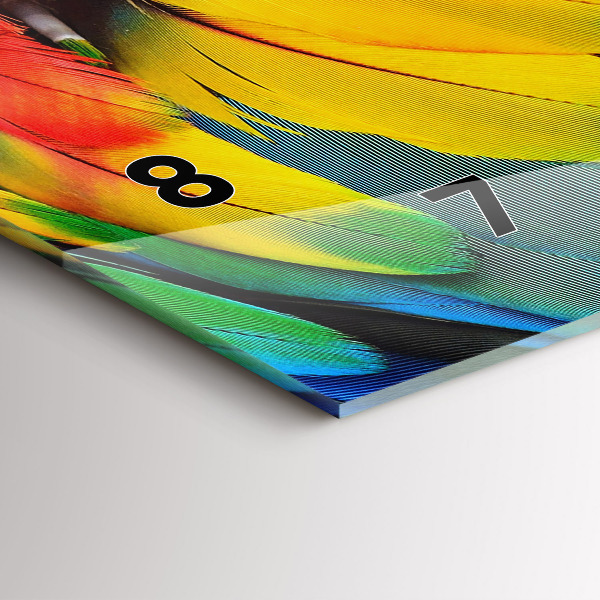 Vízszintes üvegóra Ara madár színes szárnyak