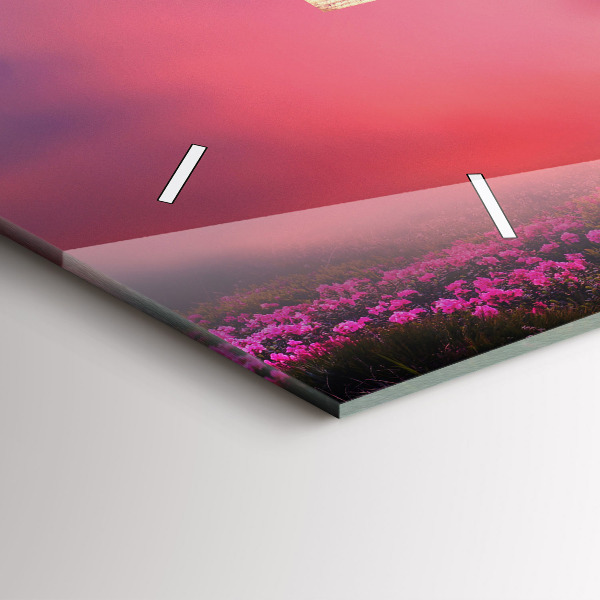 Vízszintes üvegóra Ház a madarak számára