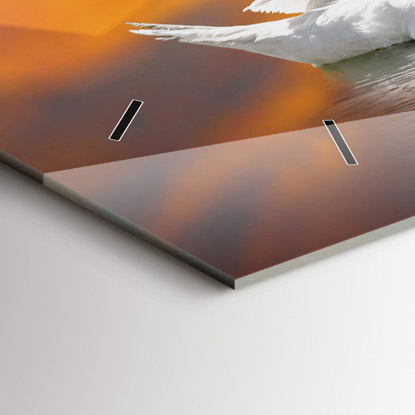 Vízszintes üvegóra Szerelmes hattyúk