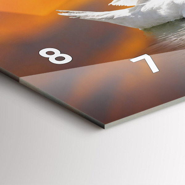 Vízszintes üvegóra Szerelmes hattyúk