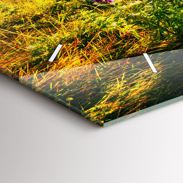 Vízszintes üvegóra Levendula rét