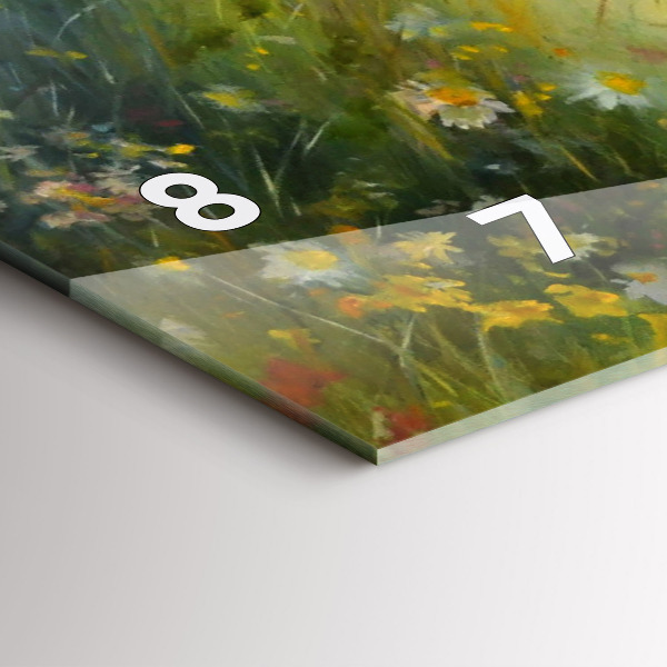 Vízszintes üvegóra Gyönyörű nő lóval