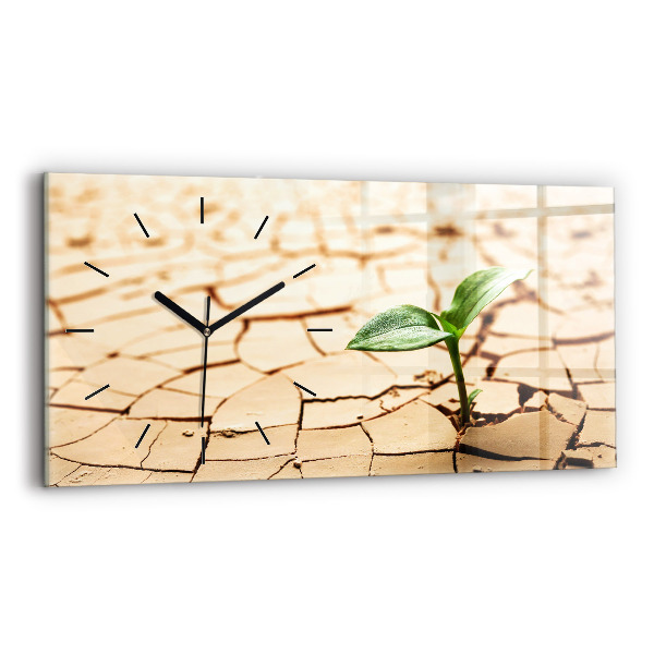 Vízszintes üvegóra Kiszáradt talajban lévő növény