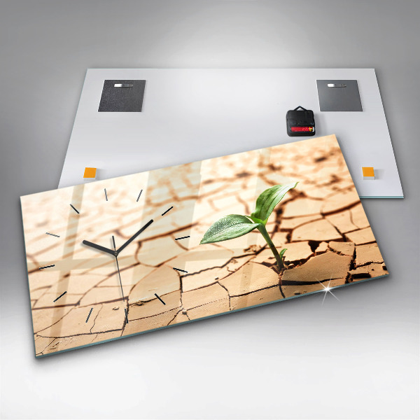 Vízszintes üvegóra Kiszáradt talajban lévő növény