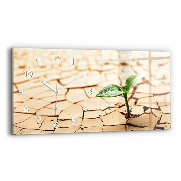 Vízszintes üvegóra Kiszáradt talajban lévő növény