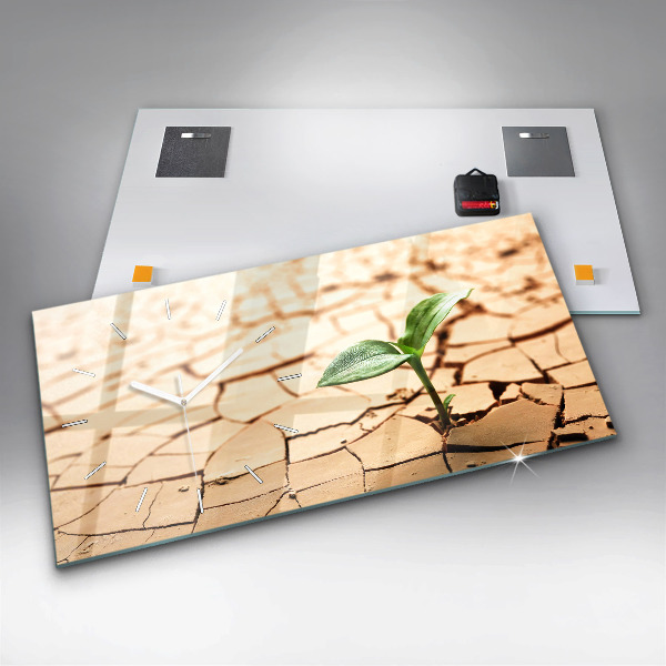 Vízszintes üvegóra Kiszáradt talajban lévő növény