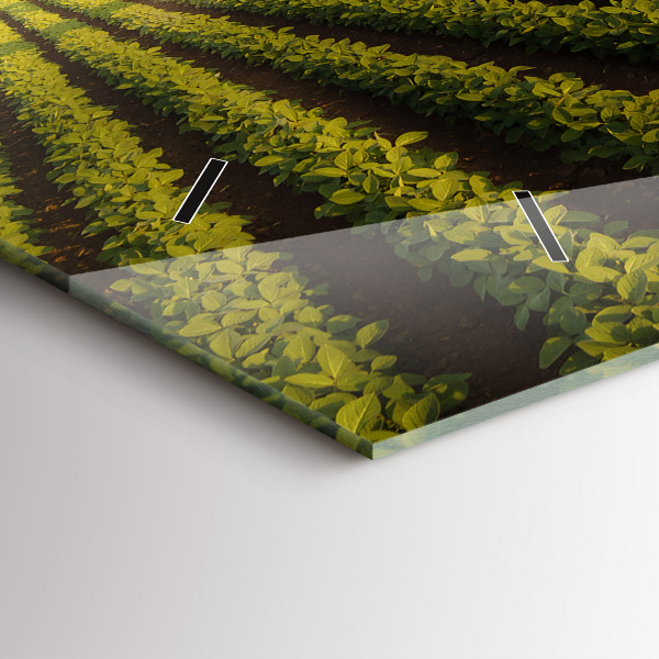 Vízszintes üvegóra Traktor permetezés egy mezőt