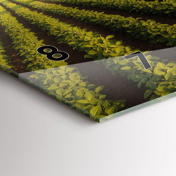 Vízszintes üvegóra Traktor permetezés egy mezőt