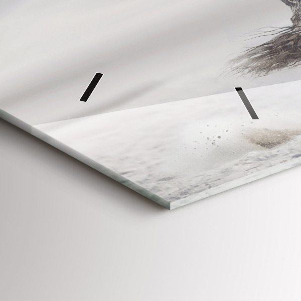 Vízszintes üvegóra Vágtázó fehér ló