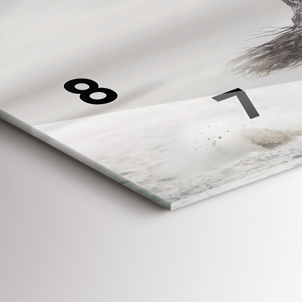 Vízszintes üvegóra Vágtázó fehér ló