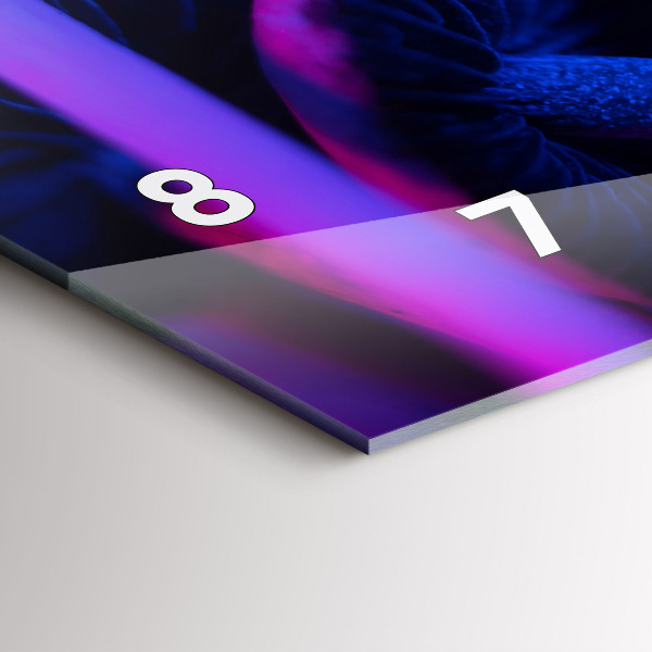 Vízszintes üvegóra Mágikus gombák színes