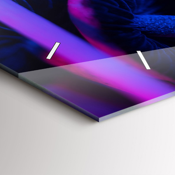 Vízszintes üvegóra Mágikus gombák színes