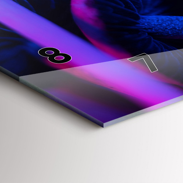 Vízszintes üvegóra Mágikus gombák színes