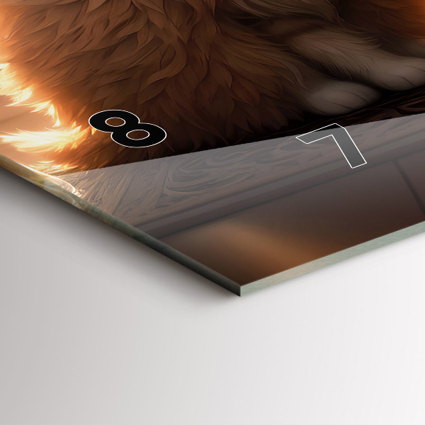 Vízszintes üvegóra Négy cica a napon