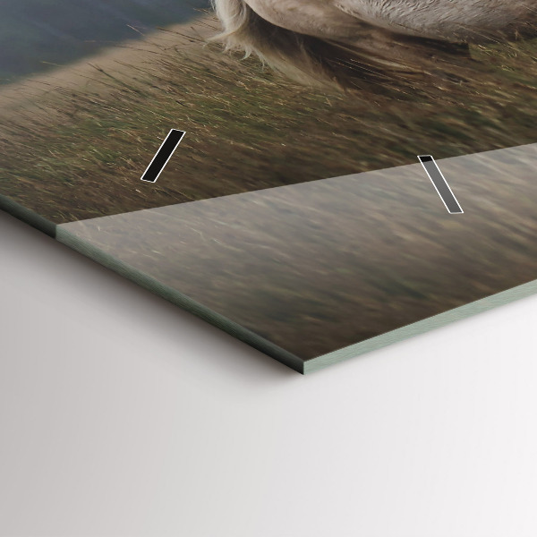 Vízszintes üvegóra Lovak vágtában