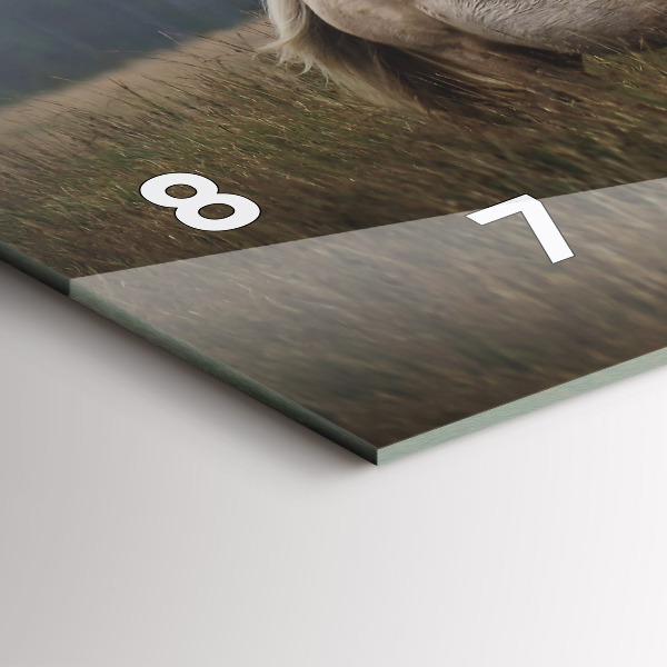 Vízszintes üvegóra Lovak vágtában