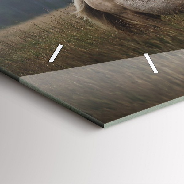 Vízszintes üvegóra Lovak vágtában