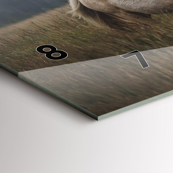 Vízszintes üvegóra Lovak vágtában