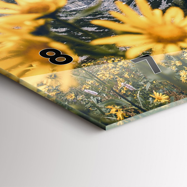 Vízszintes üvegóra Réti virágok a hegyekben