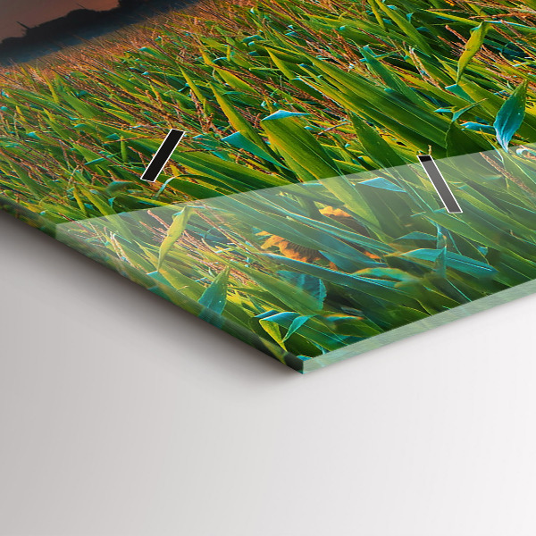 Vízszintes üvegóra Napraforgó a réten