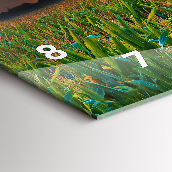 Vízszintes üvegóra Napraforgó a réten