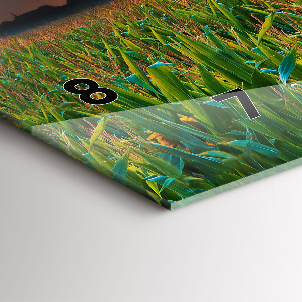 Vízszintes üvegóra Napraforgó a réten