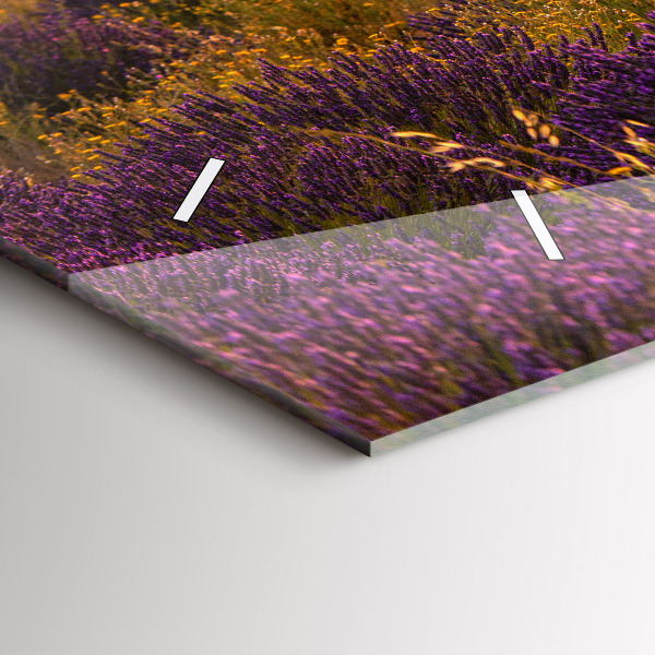 Vízszintes üvegóra Levendula rét Franciaország