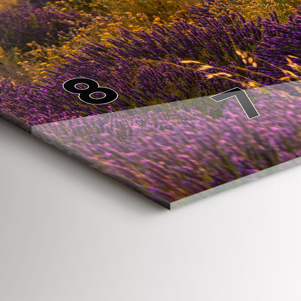 Vízszintes üvegóra Levendula rét Franciaország