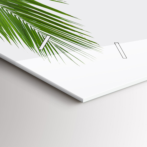 Vízszintes üvegóra Pálma levelek természet