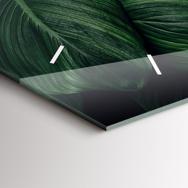 Vízszintes üvegóra Trópusi szörny