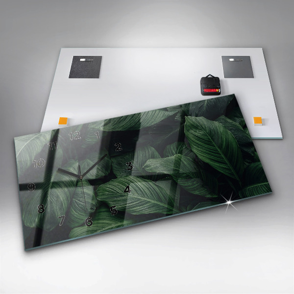 Vízszintes üvegóra Trópusi szörny