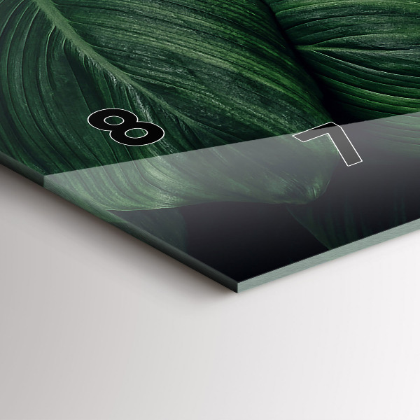 Vízszintes üvegóra Trópusi szörny