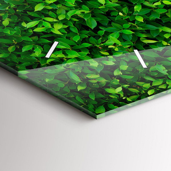 Vízszintes üvegóra Sövénylevelek