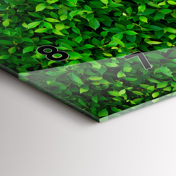 Vízszintes üvegóra Sövénylevelek