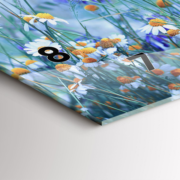 Vízszintes üvegóra Pillangó a réten