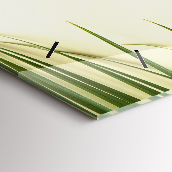 Vízszintes üvegóra Monstera levelek