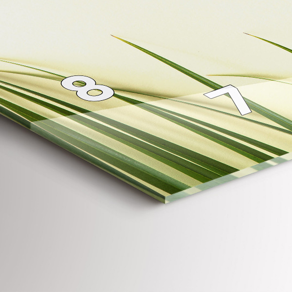 Vízszintes üvegóra Monstera levelek