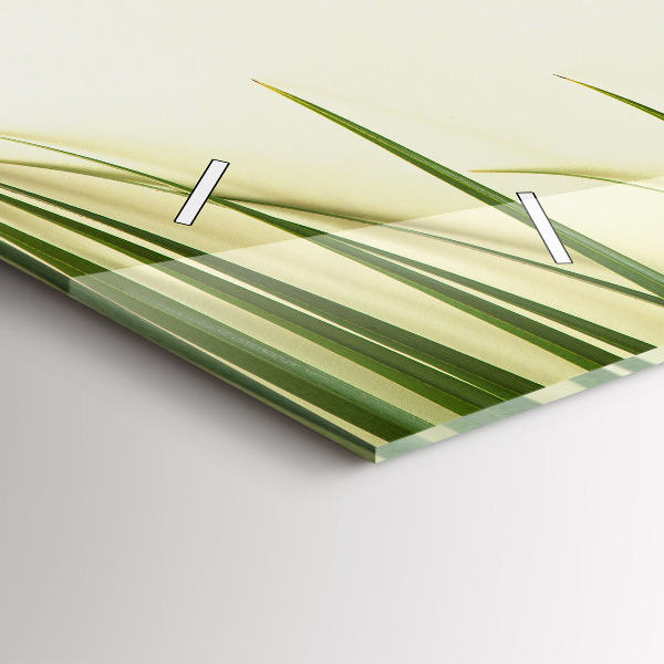 Vízszintes üvegóra Monstera levelek