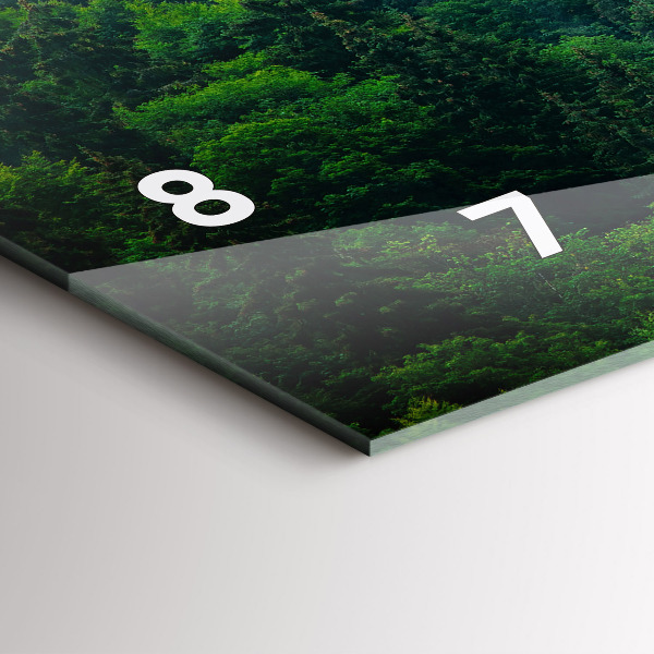 Vízszintes üvegóra Ködös erdő