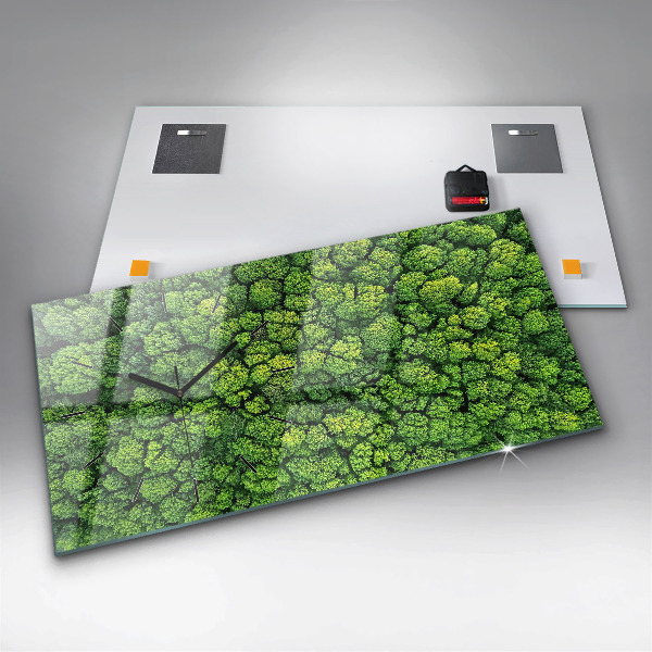 Vízszintes üvegóra Erdő madártávlatból