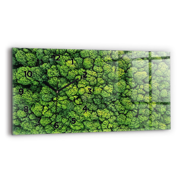 Vízszintes üvegóra Erdő madártávlatból