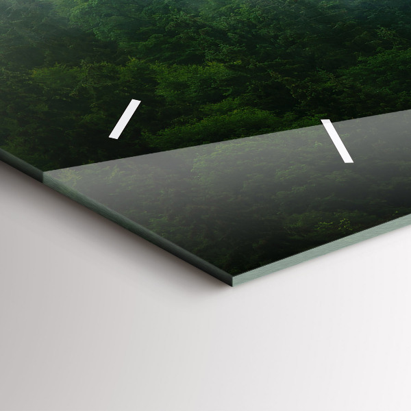 Vízszintes üvegóra Ködös erdő