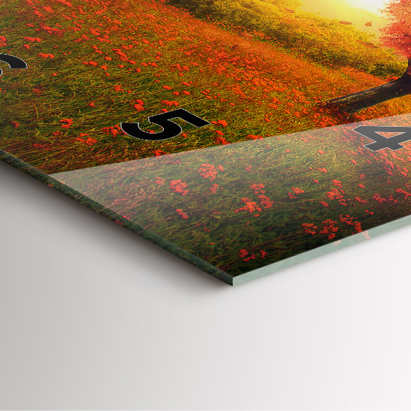 Szögletes fali üvegóra Szerelem szív fa