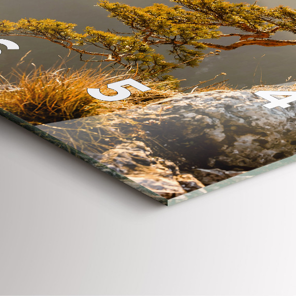 Szögletes fali üvegóra Egy fa a hegyekben