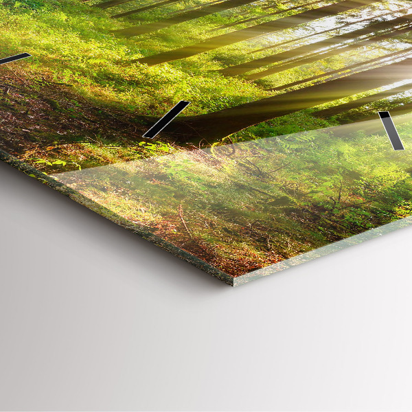 Szögletes fali üvegóra Erdei napfelkelte