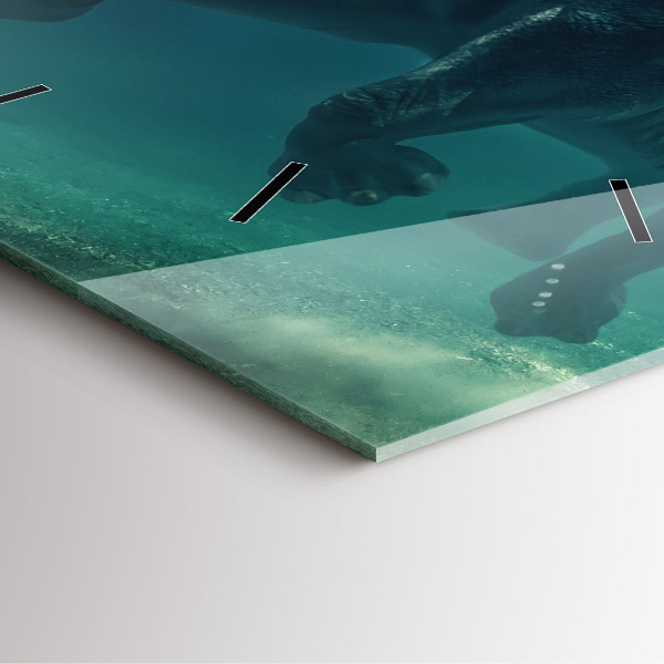 Szögletes fali üvegóra Úszó elefánt az óceánban