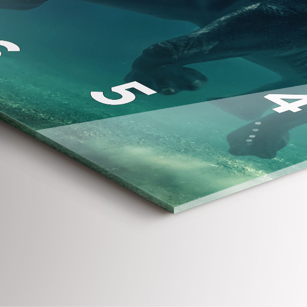 Szögletes fali üvegóra Úszó elefánt az óceánban